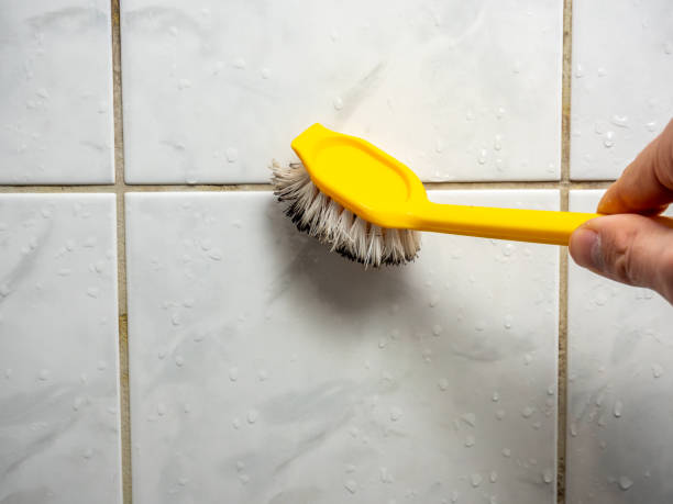 Best Toxic Mold Removal  in Stone Ridge, VA