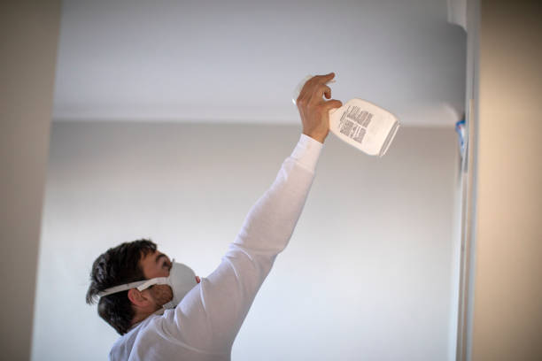 Best Mold Testing  in Stone Ridge, VA