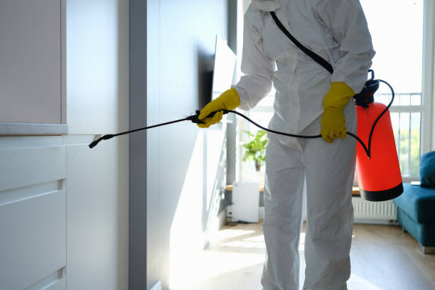 Best Mold Cleaning Services  in Stone Ridge, VA