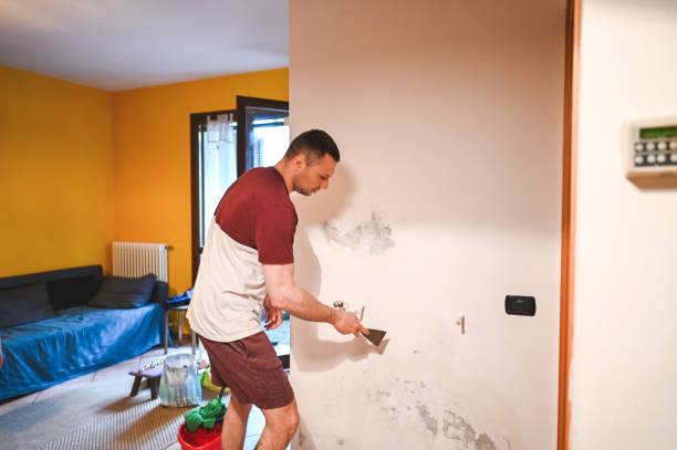 Best Emergency Mold Removal  in Stone Ridge, VA